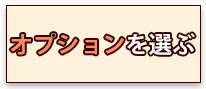 オプションを選ぶ